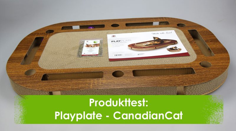 Playplate, CanadianCat, Taubertalperser, Produkttest, Katzenblog, Produktvorstellung
