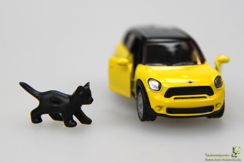 Sicherheit im Auto, Katzen, Katzentransport, Taubertalperser, Katzenblog