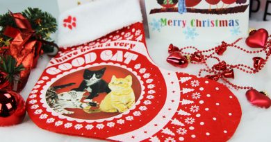 Weihnachten, Taubertalperser, Weihnachtsbrief, Katzenblog, Katzeninformationsseite