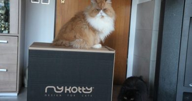 MyKotty Möbel für Katzen