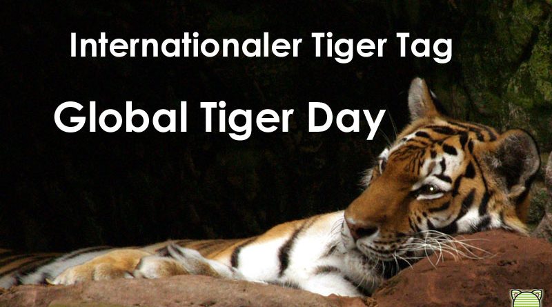 Global Tiger Day, Internationaler Tag des Tigers