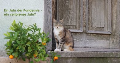 Katze vor Tür, Corona, Pandemie