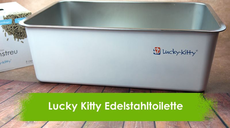 Lucky Kitty Katzentoilette