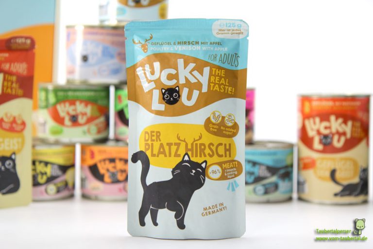 Katzenfuttertest bei den Taubertalpersern Lucky Lou