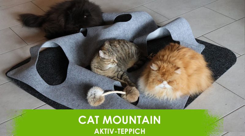 Cat Mountain Activ-Teppich