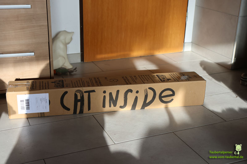 Karton mit der Aufschrift Cat inside