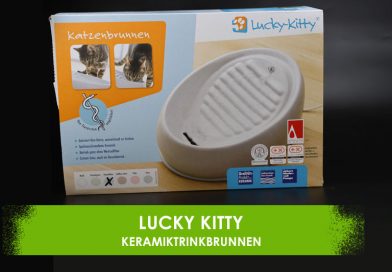 Lucky Kitty Keramiktrinkbrunnen