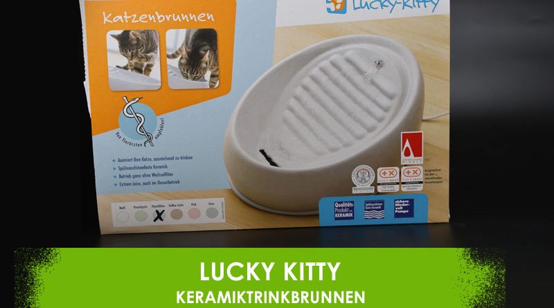 Lucky Kitty Keramiktrinkbrunnen