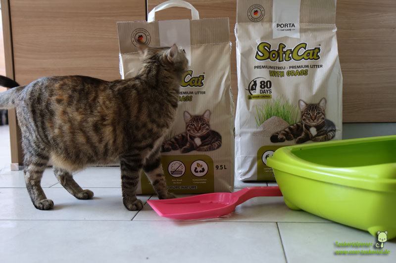 Soft Cat Grass - Katzenstreu mit Katze