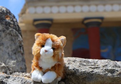 Heraklion, Knossos, Katze auf Reisen